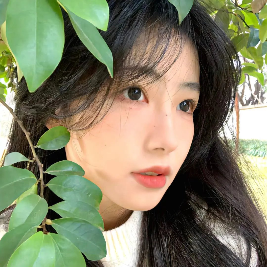 第八任长官