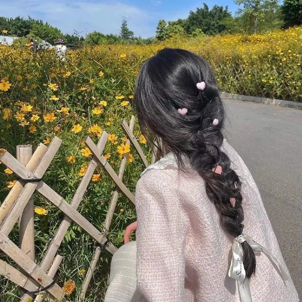 这就是哈里斯